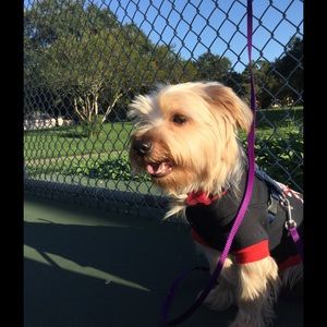 Meet your Posher, H ye mi