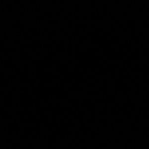 Meet your Posher, Gabriel