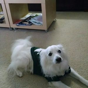 Meet your Posher, Jocelyn