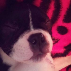 Meet your Posher, Laura