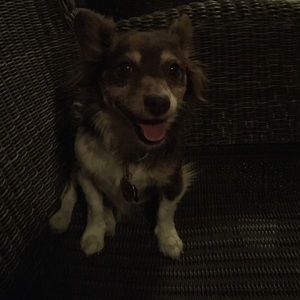 Meet your Posher, Kaitlyn