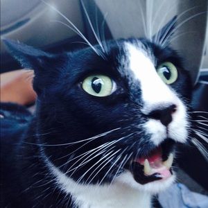 Meet your Posher, Christina