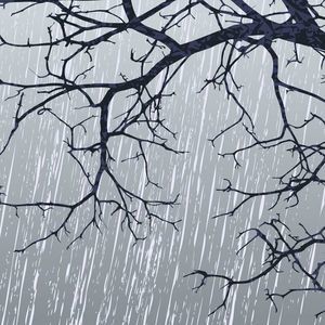 Meet your Posher, Miranda