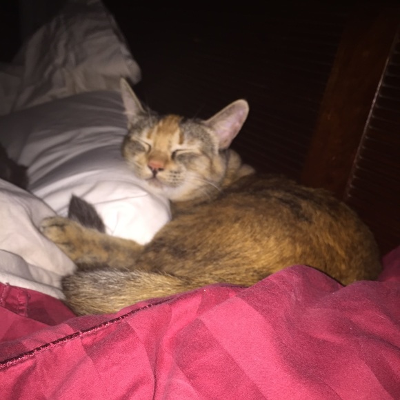 Meet your Posher, Cathy - Picture 1 of 1