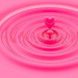 Meet your Posher, Ginger