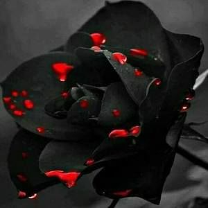 Meet your Posher, Karisha