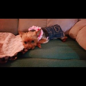 Meet your Posher, Marilyn