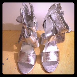 Silver Shoes