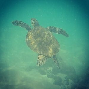 Meet your Posher, Janae