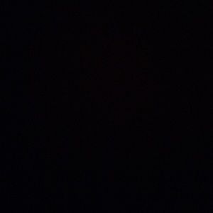 Meet your Posher, Paulina