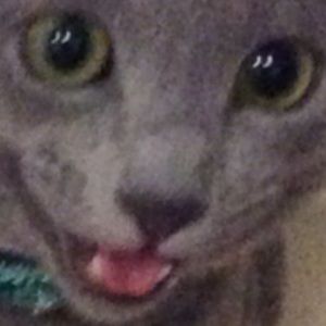 Meet your Posher, Amy