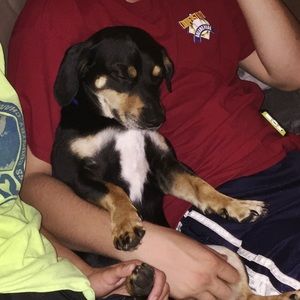 Meet your Posher, Evia