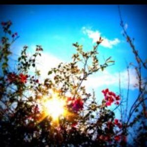 Meet your Posher, Sydney