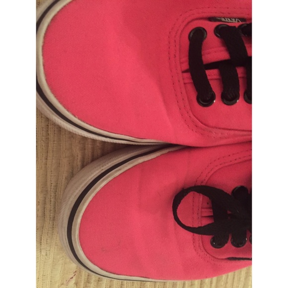 More pics of vans