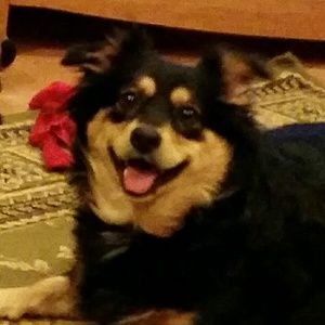 Meet your Posher, Samara