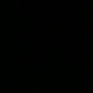 Meet your Posher, Jesse