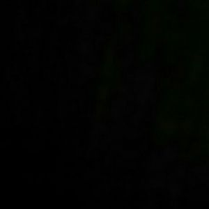 Meet your Posher, Roderick