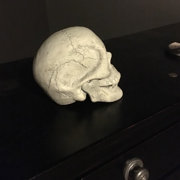 Jimmy the skeleton - Picture 2 of 3