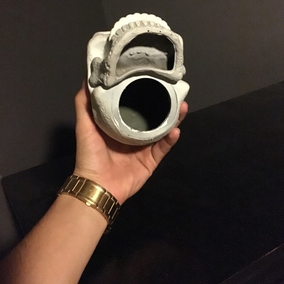 Jimmy the skeleton - Picture 3 of 3