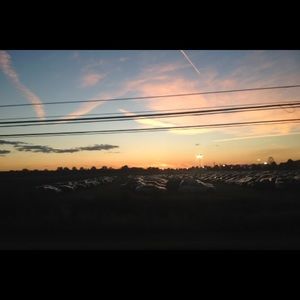 Meet your Posher, Lauryn