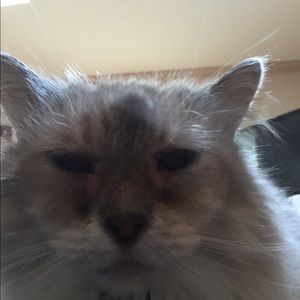 Meet your Posher, Deborah