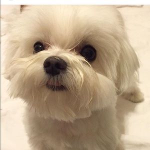 Meet your Posher, Gia