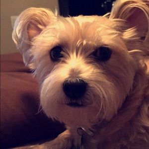 Meet your Posher, Christine