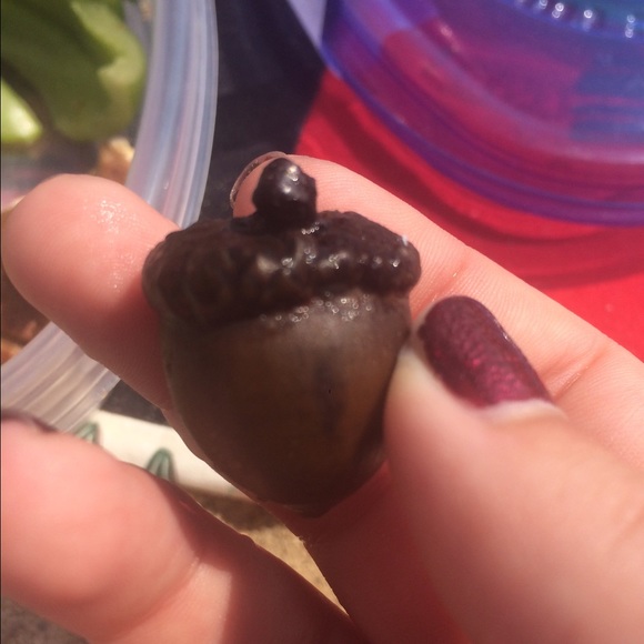 Meet your Posher, Katie - Picture 1 of 1