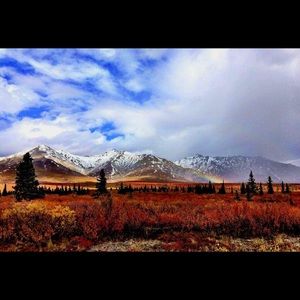 Meet your Posher, Cynthia