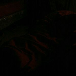 Meet your Posher, Greg