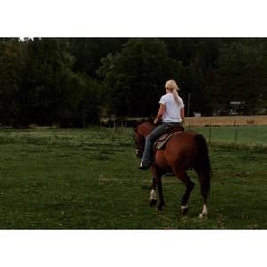 Meet your Posher, Mackenzie