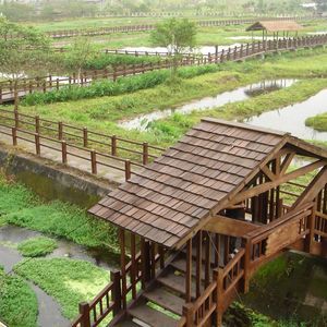 Meet your Posher, Dennis