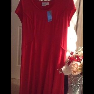 Red  Dress.  FINAL MARKDOWN