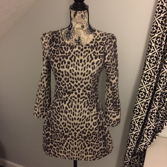 Gorgeous Rag & Bone Leopard dress