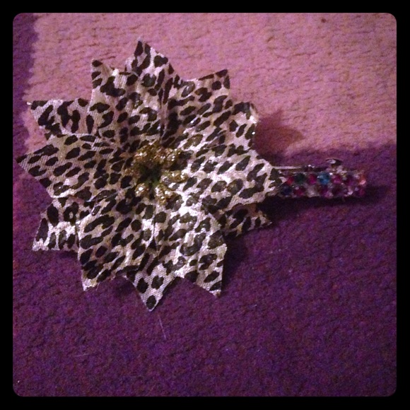 Safari hair clip assorted gems