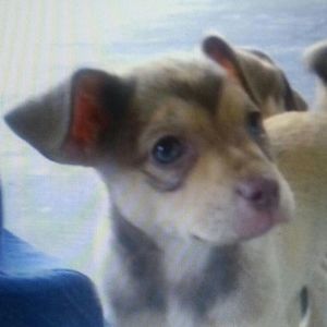 Meet your Posher, Cathy