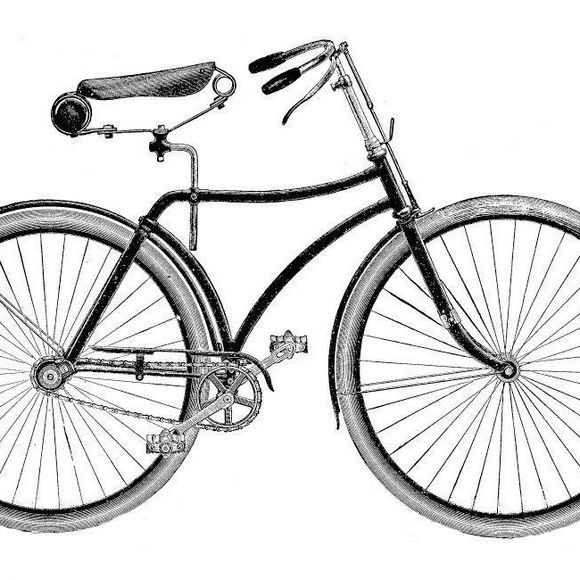 Meet your Posher, Amy - Picture 1 of 1