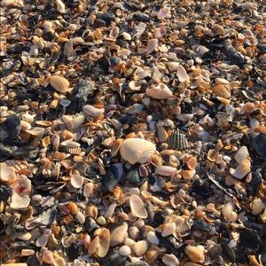 Meet your Posher, Jan