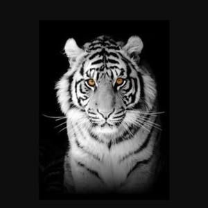 Meet your Posher, Freda