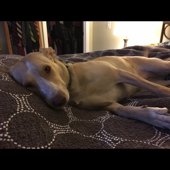 Meet your Posher, Sarah - Picture 2 of 3