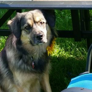 Meet your Posher, Brittney