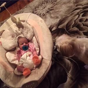 Meet your Posher, Vera