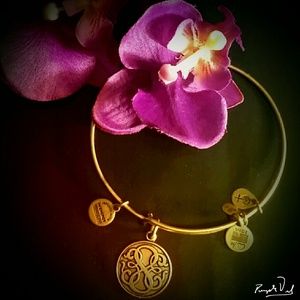 Alex & Ani Bracelet