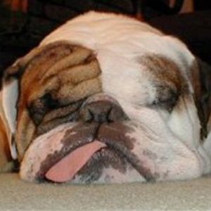 Meet your Posher, Macie