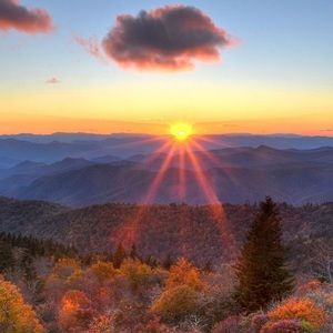 Meet your Posher, Kelli