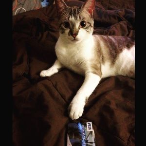 Meet your Posher, Beth