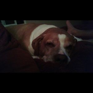 Meet your Posher, Robin