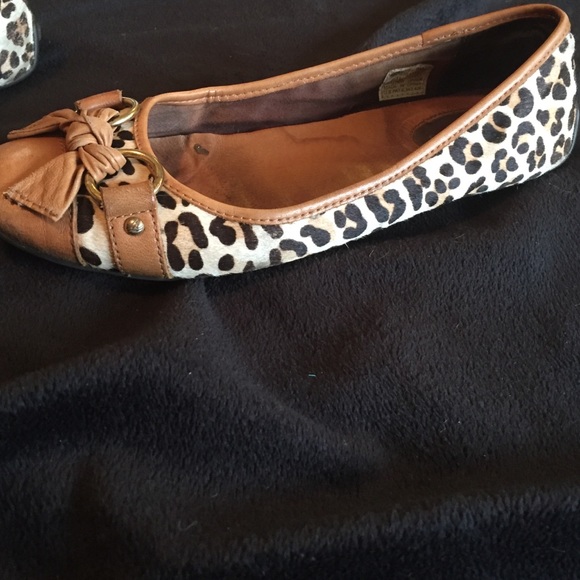 Sperry Flats