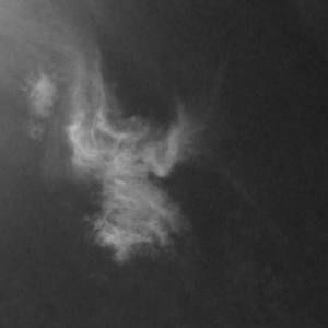 Meet your Posher, Cherie