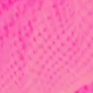 Meet your Posher, Shayla